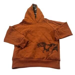 Free Planet Toddler Boy 4T Dinosaur Hooded Pullover Sweater